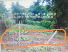 男子被指强占他人农用地并擅自改变土地用途引质疑