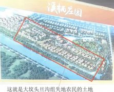 以租代征建别墅，农民生计怎保障