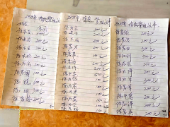 国顺公瓦泥坝祠堂陈氏家族：清明齐聚谢