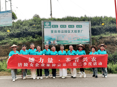 民建涪陵女企业家以“她力量·茶香兴农” 赋能茶产业