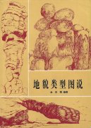 《地貌类型图说》第十一章：干早地区地