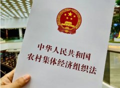 两女子出嫁几十年还回娘家继承宅基地房屋使用权引质疑