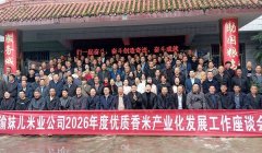 渝妹儿米业擘画2026“涪陵香米”产业化发