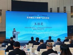 王琼芝：以两岸医疗融合之力 共绘京津冀