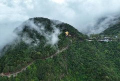 25年经营权争夺余波：观音山国家森林公